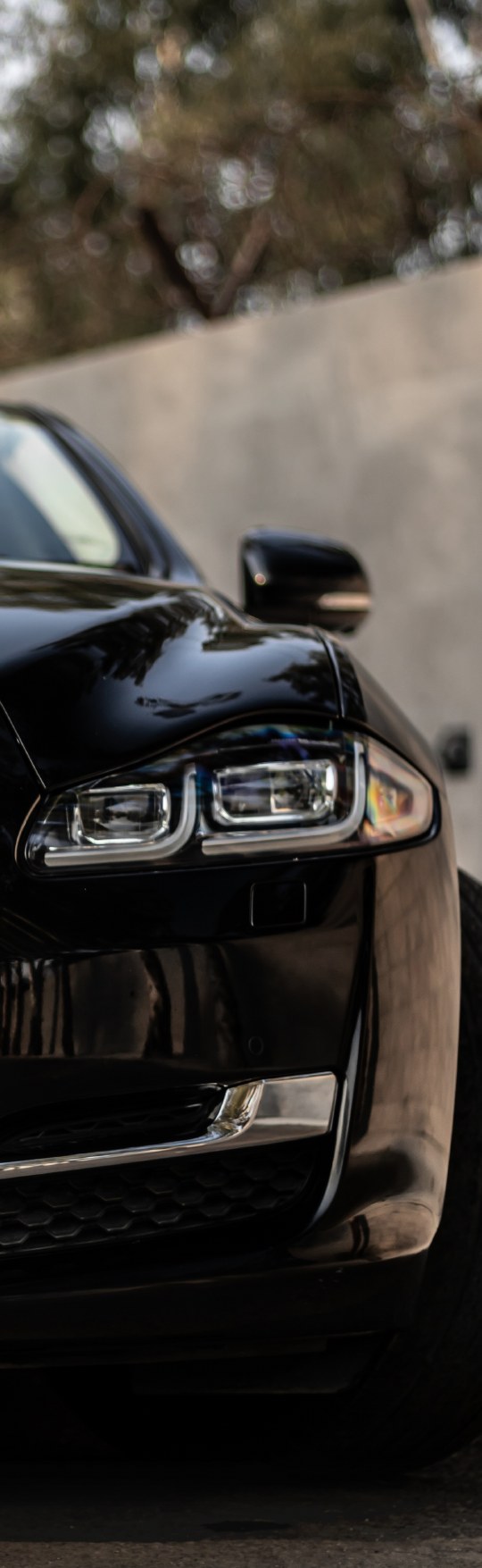 Jaguar PPF
