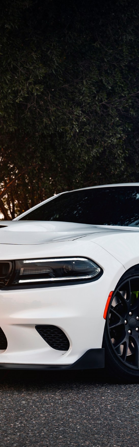 Charger detailing